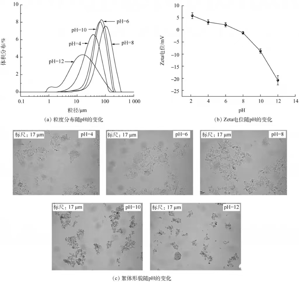 1640853465706947.jpg 2fa43ca4c41c8a876ec51a344dee97c.jpg