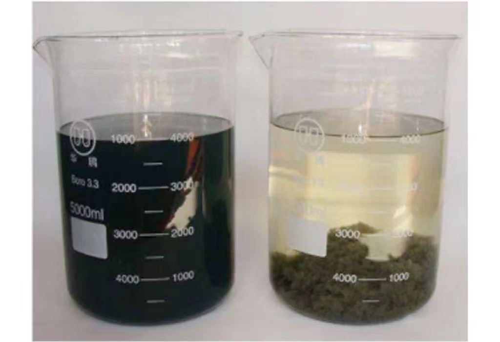 1644973489527229.jpg 2.jpg